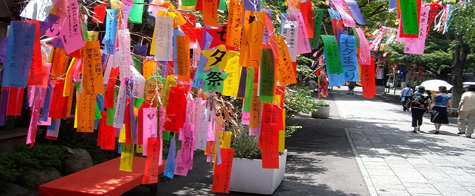 Write Tanzaku with wish in Tanabata!