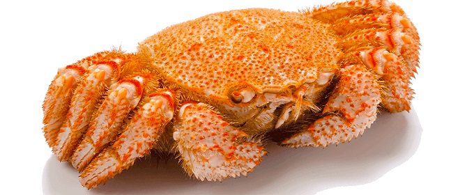horse hair crab (ke kani)