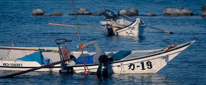 sea urchin fishing in hokkaido prefecture