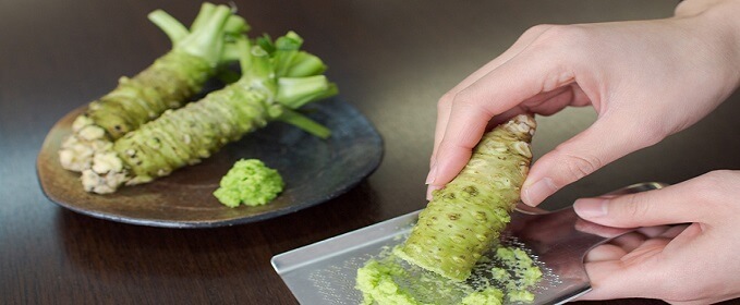 What is wasabi? Everything you should know – ENSO Japanese Cuisine