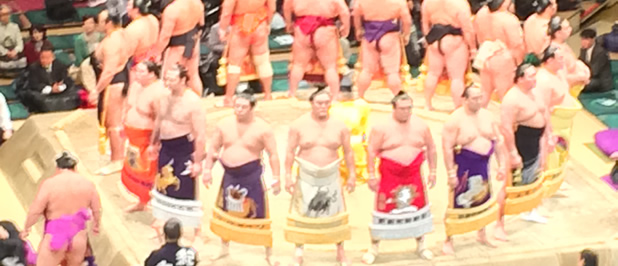 Sumo wrestler