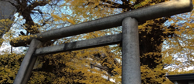 yushima tenjin torii